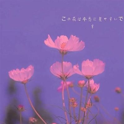 龙王星辰手游(暂未上线)v1.0 安卓版